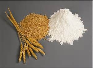 Las exportaciones de trigo prevè US$ 2.819 millones