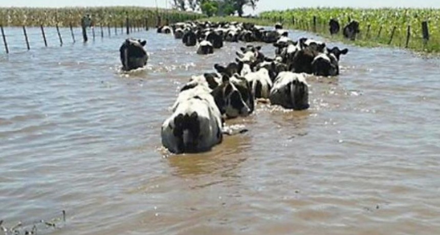 Productores de Santa Fe perdieron todo