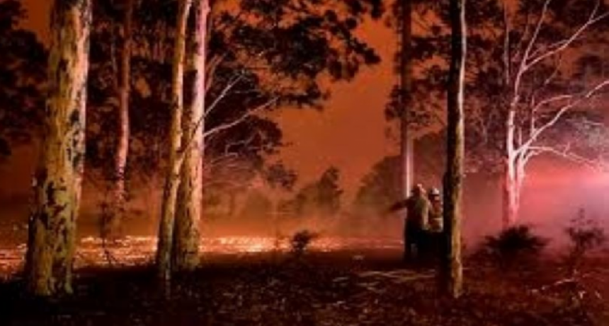 Llego  el humo del incendio de Australia al País