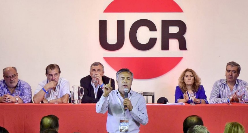 El Radicalismo cuestiona duramente al presidente Alberto Fernández