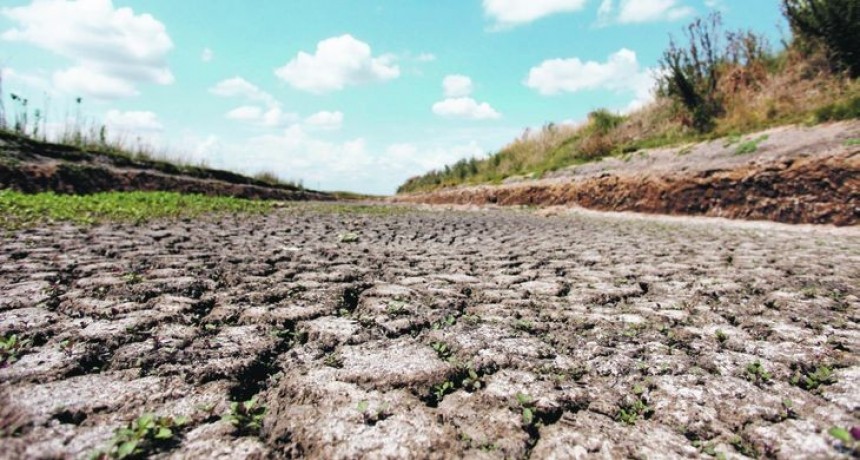 El Campo pedir la eliminación de las retenciones por la sequía