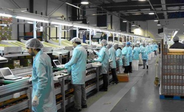 Seis de cada 10 argentinos cree que tiene menos posibilidades de conseguir un trabajo