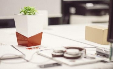 Kivi: la maceta inteligente que se riega sola