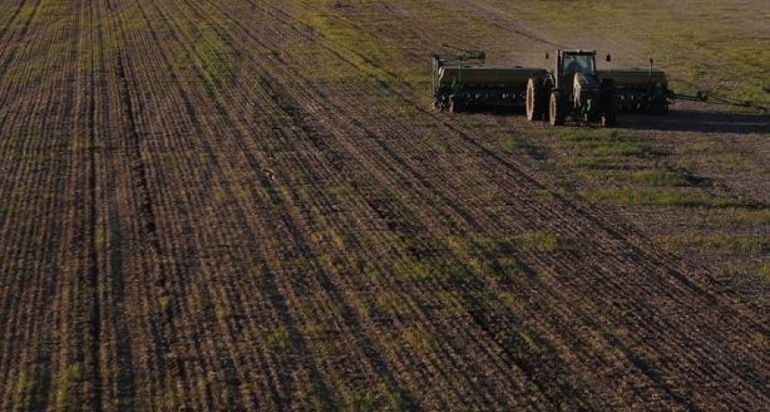 Regularon el valor del dólar para la exportación