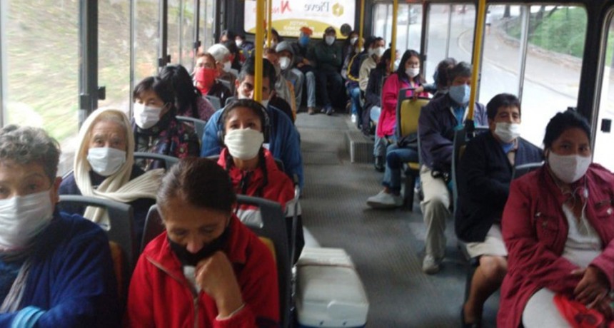 Quienes están habilitados al uso del colectivo