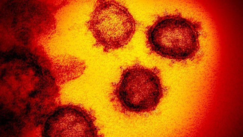 Científicos suizos descubrieron el 'Talón de Aquiles' del coronavirus