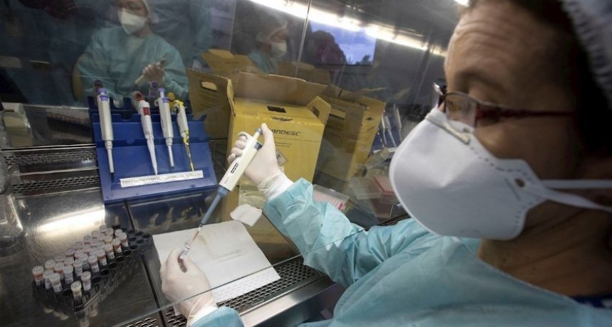 Salta informa que se notificaron 551 casos nuevos de COVID-19