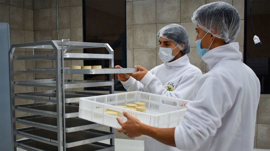 Inauguran primera fábrica regional que produce quesos 100% a base de plantas