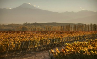 Convenio para el desarrollo del “Turismo del Vino”
