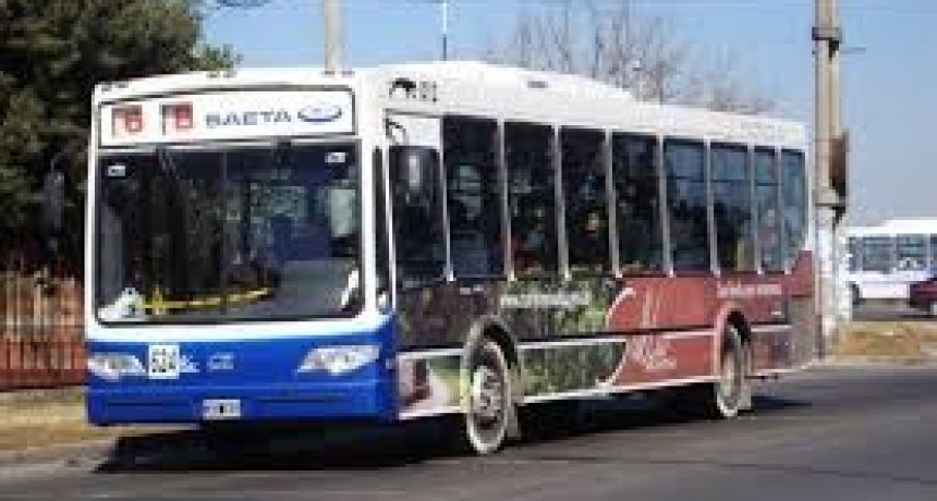 Paro de colectivos en la Provincia