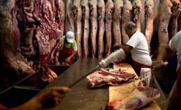 SENASA amenaza con paro y podría escasear la carne vacuna