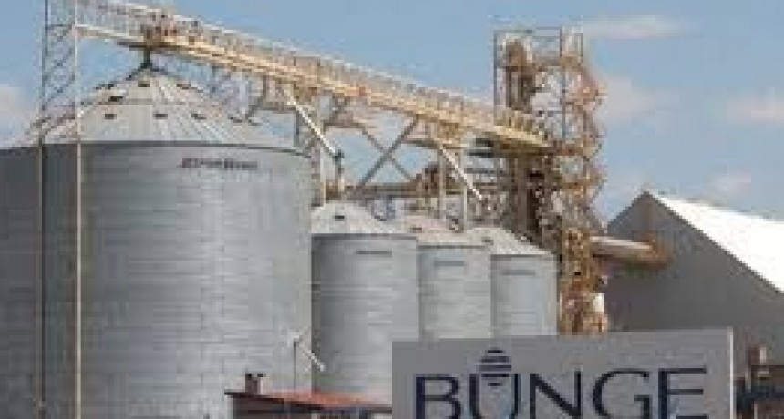 Huelga de aceiteros golpea exportaciones