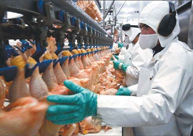 Las exportaciones de carne aviar afectadas por las retenciones y la suba de costos