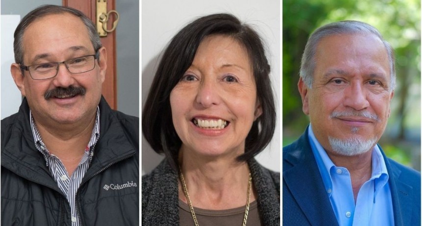 Leavy, Giménez y Romero, los senadores nacionales por Salta