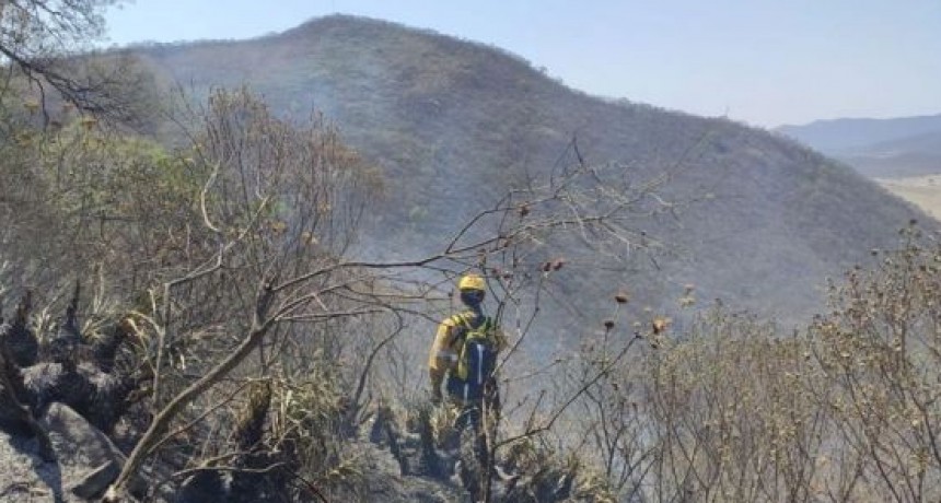 Se combaten los incendios forestales en la zona norte de la Capital