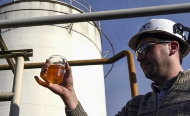Cayó 20,5% la producción de biodiesel tras el cierre del mercado estadounidense