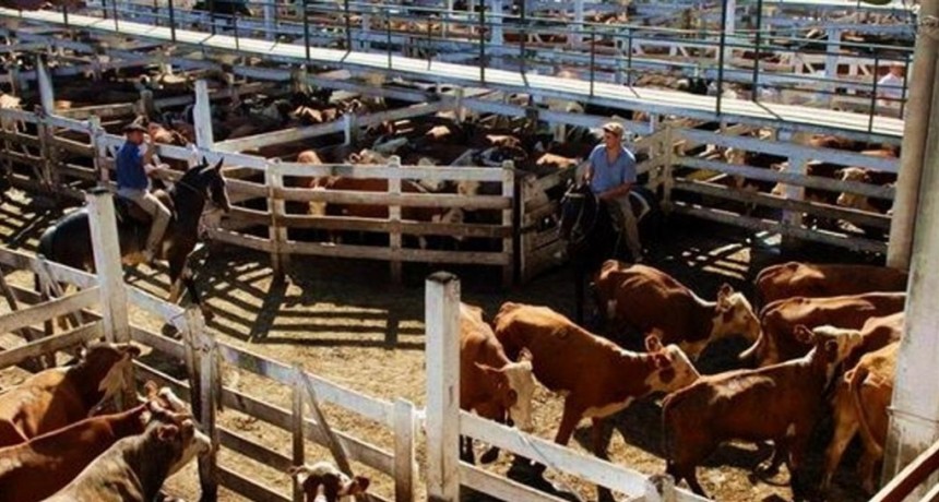 El Mercado de Liniers pero con precios moderados