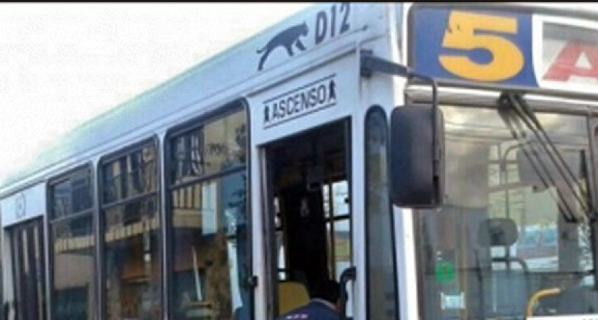 Saeta expone normativas usuario de transporte público