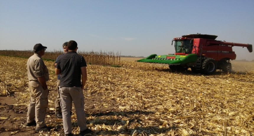 Fernández propuso la modificación de la ley de emergencia para pequeños productores