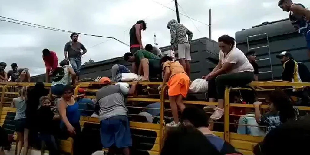 Un tren embistió a un camiòn cardado de vacas y faenaron a los animales en el lugar  